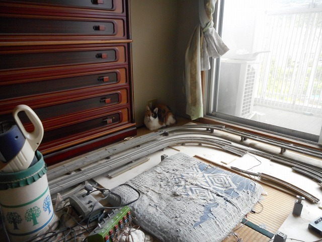 DSCN7678.jpg
