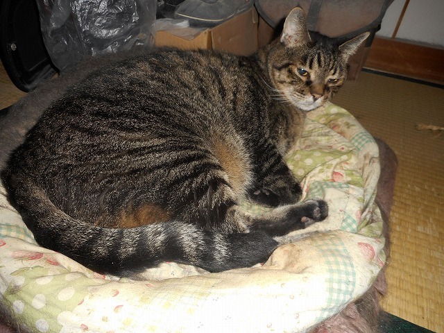 DSCN7679.jpg